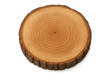 Wood slice cross section revealing natural tree trunk rings and texture on transparent background