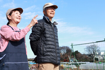 家庭菜園　シニア夫婦