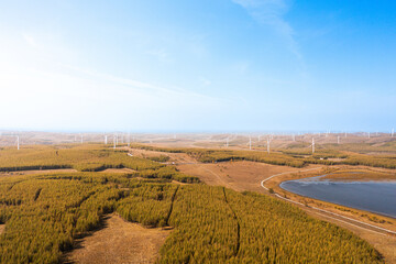 Obraz premium Aerial View of Pine Forests and Wind Farm in Chengde, Hebei, China