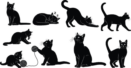 Black cat silhouette vector, feline behavior illustration, pet activity poses, domestic animal graphic, playful cat design, isolated artwork set © MDMAHOMUDUL