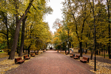 Obraz premium Brick path through a beautiful autumn park with colorful trees and fallen leaves on ground. Outdoor nature scenery for season change concept.
