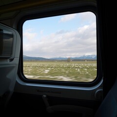 view from the window