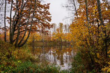 Autumn landscape with colorful trees reflected in water. Seasonal fall scenery with yellow and orange foliage by lake. Nature background for tranquil moment.