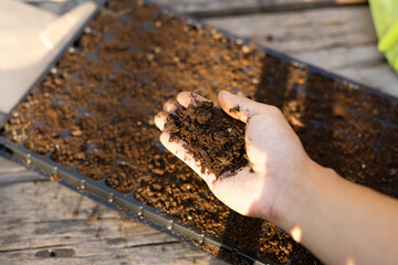 Assessing organic compost quality for sustainable land stewardship