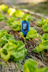 Soil ph tester stuck in organic vegetable garden for acidity measurement