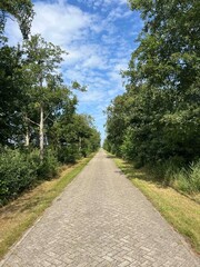 Cycling around Rosterhaule in Friesland