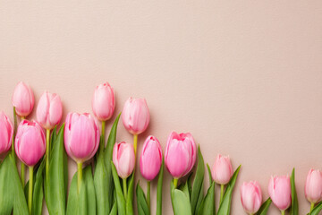 Set of beautiful pink tulips on soft beige pastel background as a flat lay border