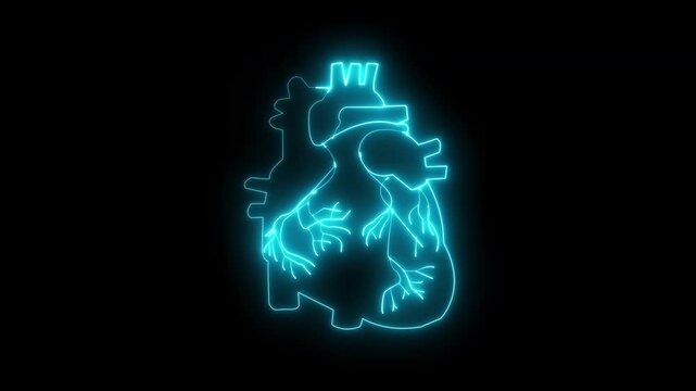 Human heart shape with colorful cardio pulse line. Digital human heart with digital line of heart pulse. Health, cardi