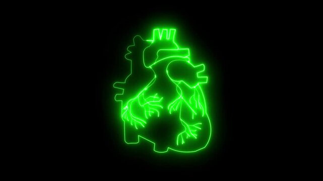 Human heart shape with colorful cardio pulse line. Digital human heart with digital line of heart pulse. Health, cardi