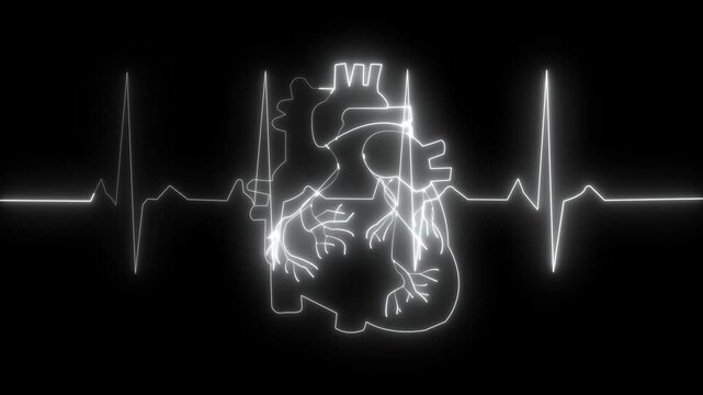 Digital human heart with digital line of heart pulse. Creative stylized colorful heart cardiogram with human heart on black background. Health, cardi
