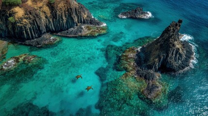Aerial drone shot of Fernando de Noronha islands crystal-clear lagoons sea turtles swimming volcanic rock formations luxury eco-travel destination
