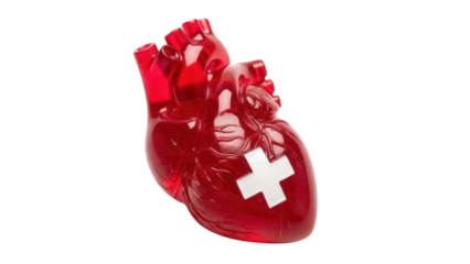 Red anatomical heart with white cross isolated PNG, medical symbol for healthcare and emergency services on transparent background