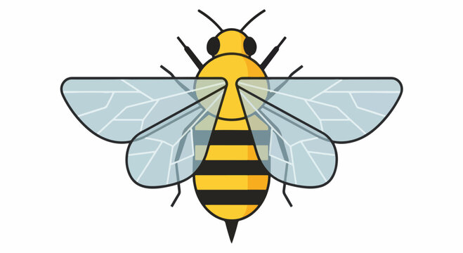 Stylized illustration of a bee with transparent wings and black stripes.
