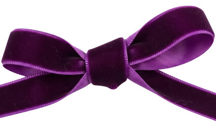 Elegant purple velvet bow isolated PNG, decorative ribbon for gift wrapping and scrapbooking projects on transparent background
