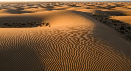Golden sand dunes with ripple patterns under warm sunlight