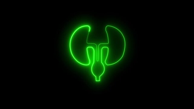 Vibrant Neon Digital Marketing Icon Animation &mdash; Megaphone, Video, and Target Symbol on Dark Background. Human respiratory system, lungs, Glowing neon line lungs icon isolated on black background.