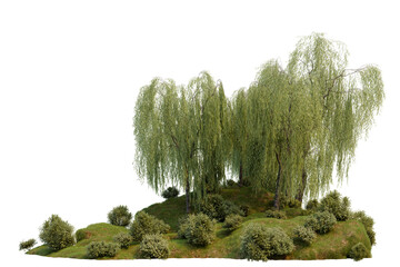 Willow trees in the mountain forest  with isolated on transparent background, PNG file, 3D rendering