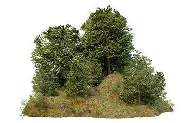 Evergreen large trees and grass field on the mound in the summer, PNG file 3D rendering for create and design	