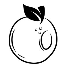 hand drawn orange fruit icon