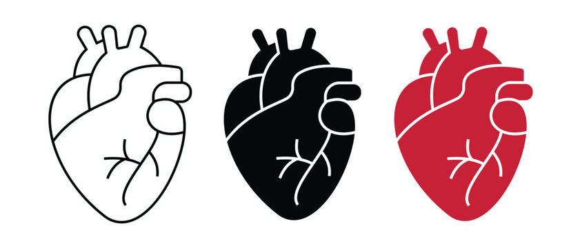 Human Heart icon vector. Real human heart icon.  Perfect for medical graphics, cardiology, healthcare, medical icon, health symbol, love metaphors, or tattoo design. Vector illustration.