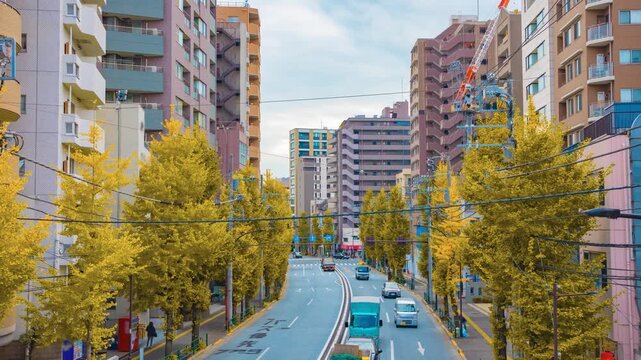 A timelapse of traffic jam at the yellow gingko street in Tokyo