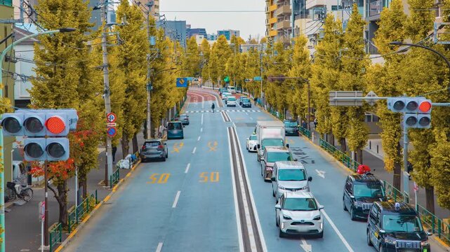 A timelapse of traffic jam at the yellow gingko street in Tokyo panning