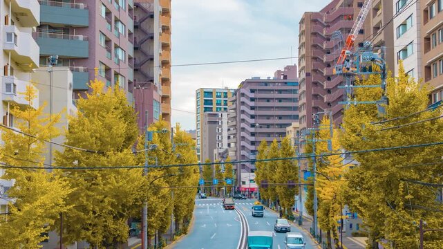 A timelapse of traffic jam at the yellow gingko street in Tokyo panning