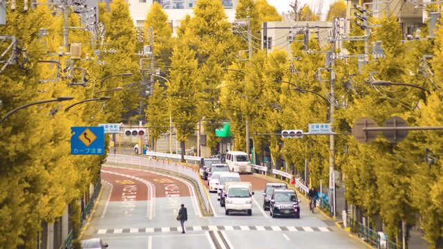 A timelapse of traffic jam at the yellow gingko street in Tokyo telephoto shot