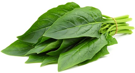Fresh Green Spinach Leaves Bundle Close-Up: Vibrant, Healthy, and Naturally Textured