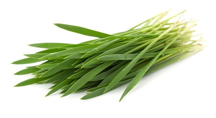 Fototapeta premium Close-Up of Fresh Green Chives on Clean White Background Highlighting Vibrant Color and Natural Texture