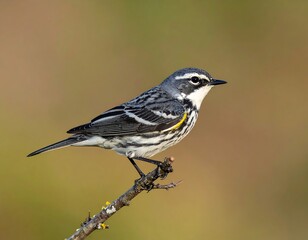Small bird perched on branch