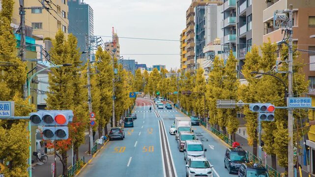 A timelapse of traffic jam at the yellow gingko street in Tokyo tilt