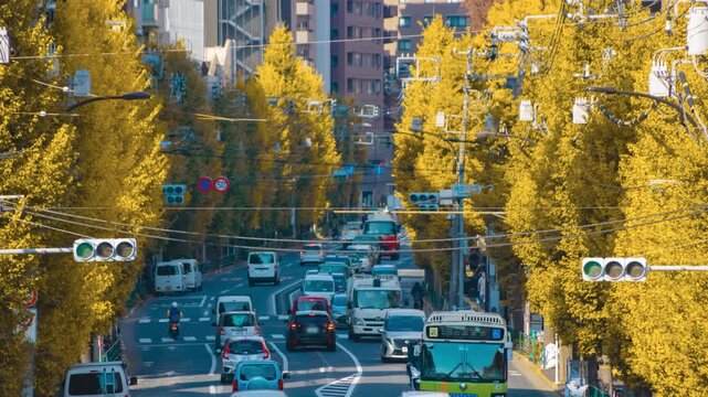 A timelapse of traffic jam at the yellow gingko street in Tokyo telephoto shot zoom