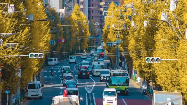 A timelapse of traffic jam at the yellow gingko street in Tokyo telephoto shot tilt