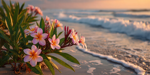 Blooming plumeria flowers by the seaside at sunrise, with gentle waves brushing against the sandy shore. A serene, natural scene.