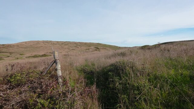 wooden fence post marks a weathered path leading across the rolling coastal hills