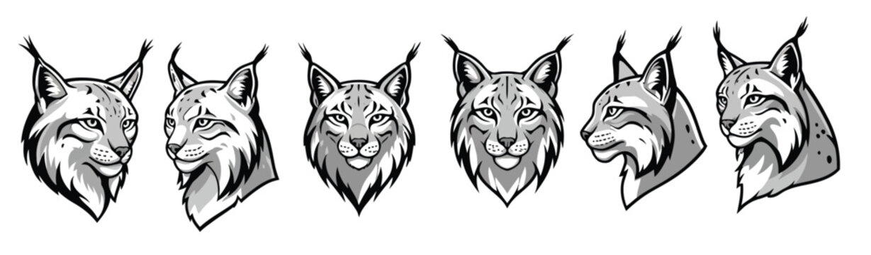 lynx head illustrations in black and white detailed set