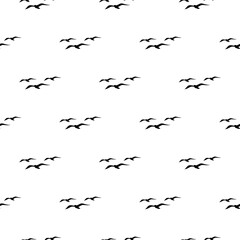 Fototapeta premium Seagull seamless pattern isolated on white background