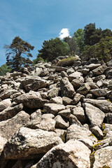 Steiniger Hang mit Felsen und B&auml;umen unter blauem Himmel