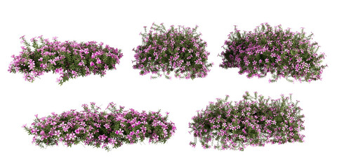 3D render tropical plants and flowers on white background