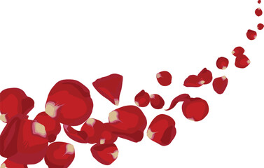 Beautiful Swirling Trail of Red Rose Petals Vector Illustration Isolated on White Background for Romantic Valentine&rsquo;s Day and Wedding Designs