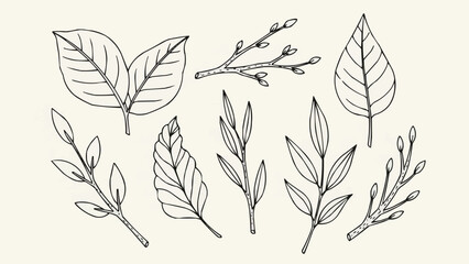 Hand Drawn Botanical Elements Collection Featuring Leaves and Branches.