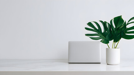 Workspace Essentials: A minimalist workspace showcases a closed laptop alongside a vibrant potted plant, exuding modern elegance. This composition blends functionality with nature.