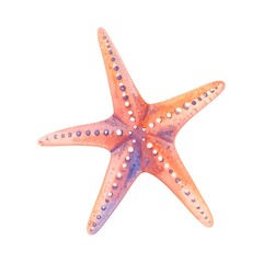 Starfish illustration shows orange and purple watercolor with small white dots on a white background