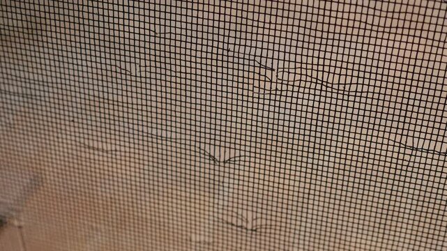 Damaged Door Screen Mesh with Cat Scratches and Holes Pet Destruction Home Repair Needed