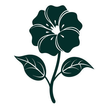 gloxinia flower silhouette with branch on white background