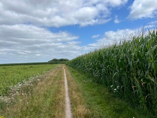 MTB track around Exloo in Drenthe