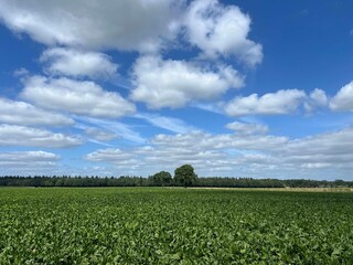 Farmland around Exloo in Drenthe