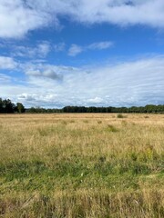 Scenery around Appelscha in Friesland