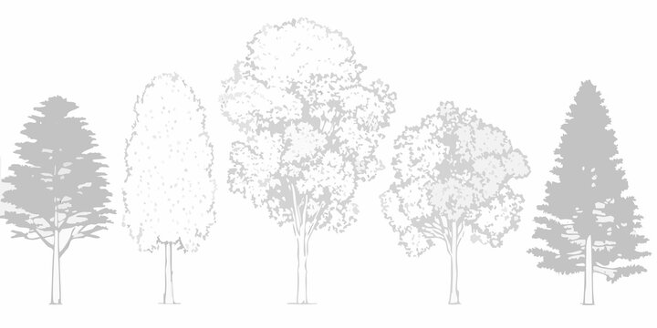 A grayscale illustration depicting five different types of trees in a row